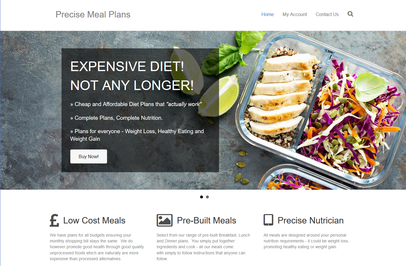 Precise Meal Plans